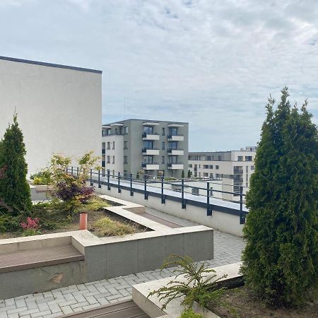 Astoria Apartment - Pet Friendly 布拉索夫 外观 照片